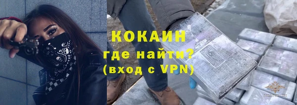 сатива Армянск