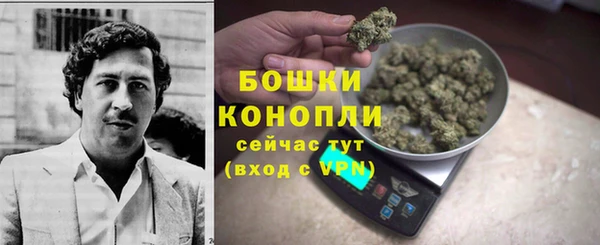 спиды Богородицк