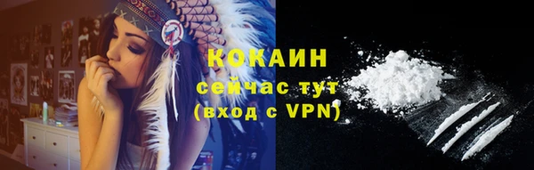 сатива Армянск
