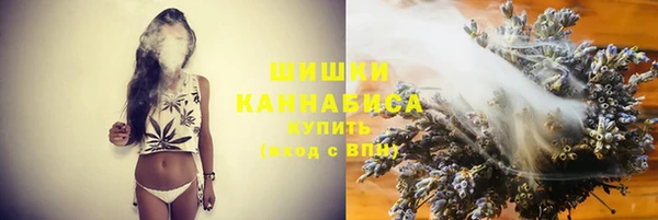 спиды Богородск