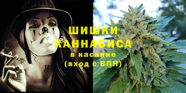 сатива Армянск