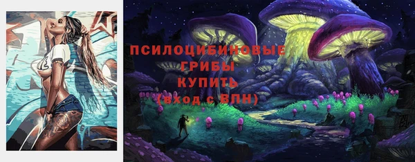 ECSTASY Аркадак